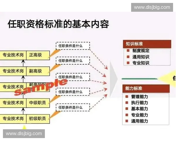 打造高效协作团队提升工作效率与创新力的策略与方法